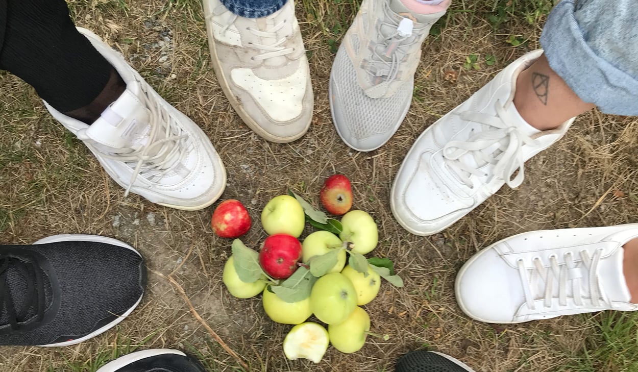 Skor runt äpplen. Behandlingspedagog