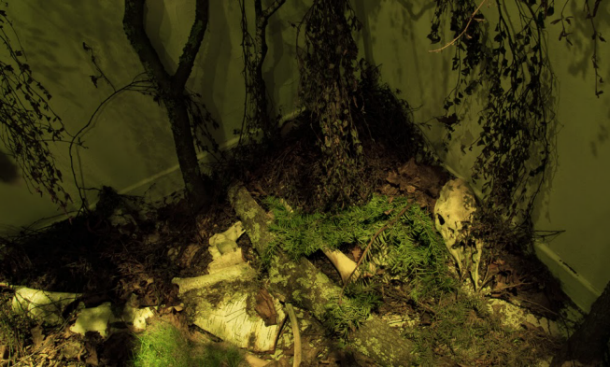 Inomhusskog Lova Delfin