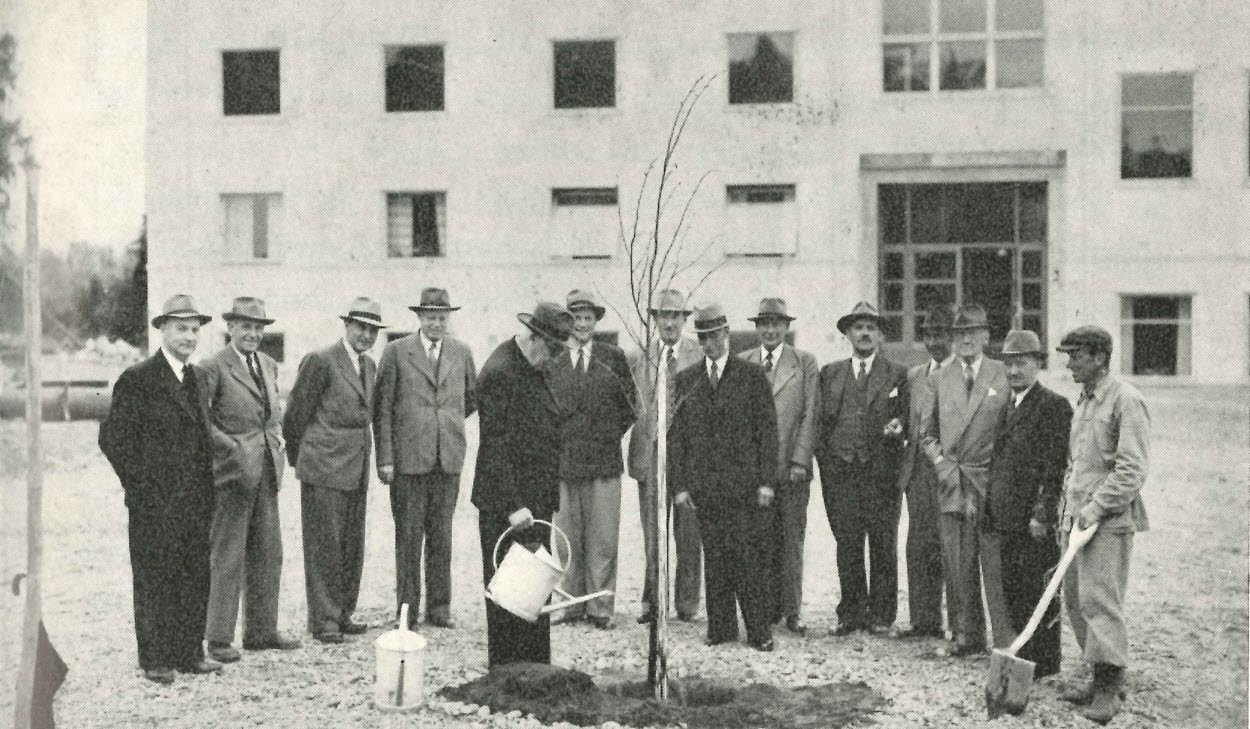 Foto på ordförande Lindley som planterar vårdträd vid nyuppförda Skogs- och lantmannaskolan - Nytorp - 31 maj 1946. 